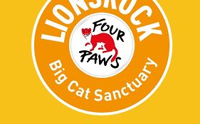 Lionsrock Big Cat Sanctuary